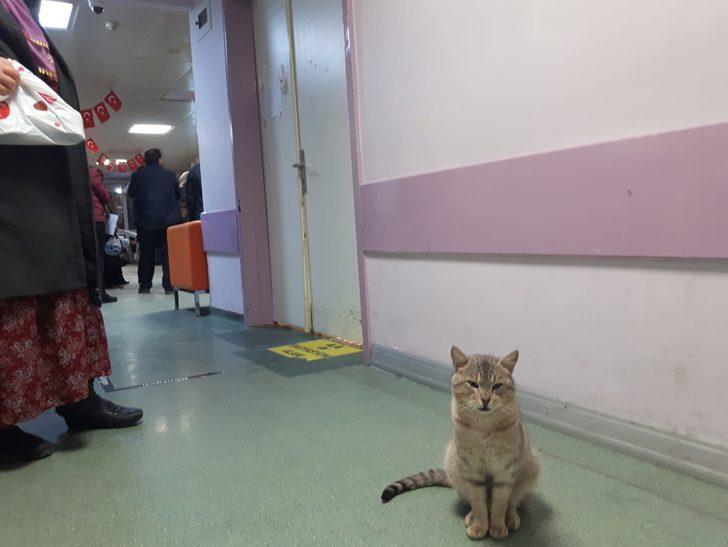 İşte Düzce'deki devlet hastanesinin maskotu Acil G2