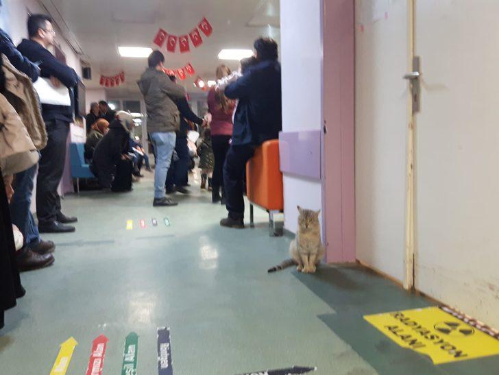 İşte Düzce'deki devlet hastanesinin maskotu Acil G3