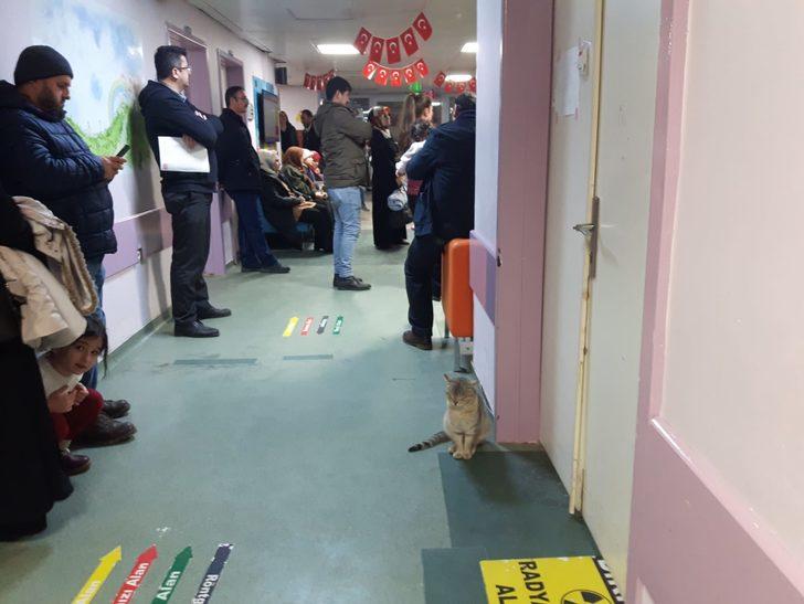 İşte Düzce'deki devlet hastanesinin maskotu Acil G4