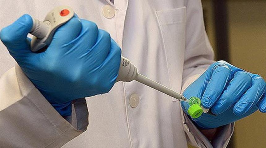 Deve gribi nedir, tehlikeli mi? Deve gribi belirtileri neler? DSÖ'den uyarı!