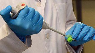 Nijerya'da Lassa ateşi nedeniyle hayatını kaybedenlerin sayısı 138'e çıktı