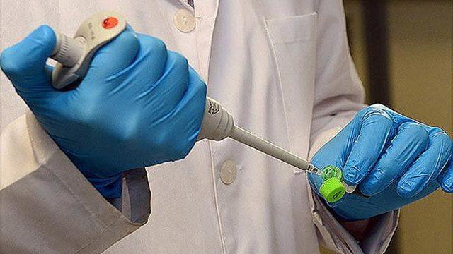 Deve gribi nedir, tehlikeli mi? Deve gribi belirtileri neler? DSÖ'den uyarı!