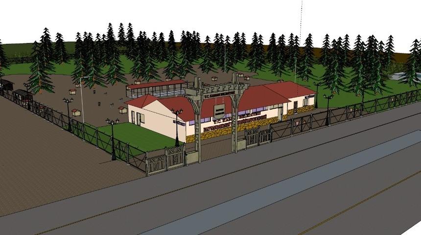 Kaman Belediyesinden, sokak hayvanları i&ccedil;in rehabilitasyon projesi