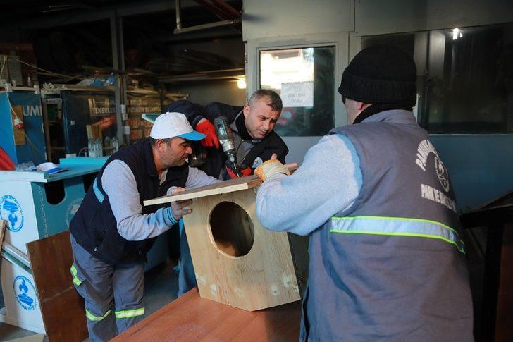 Ahşap atıklardan kedi evleri yaptılar Son Dakika Haberler
