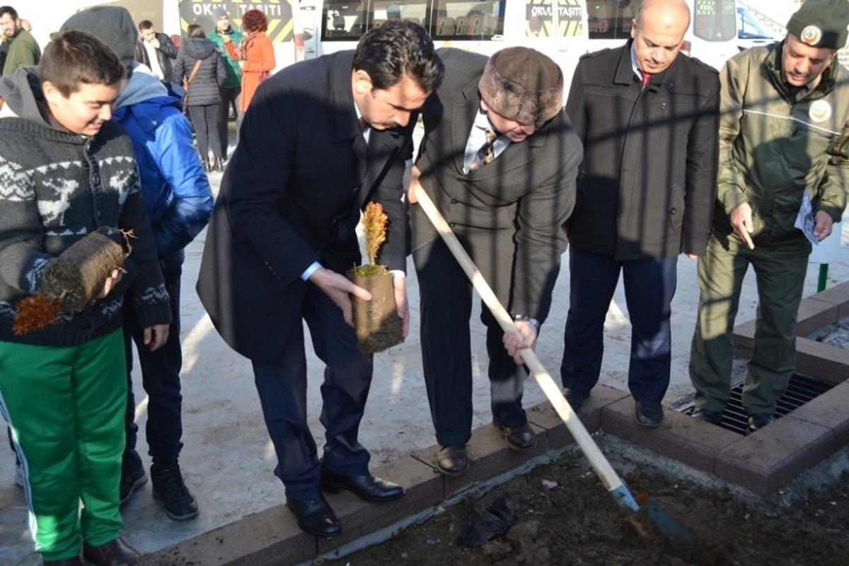 &Ouml;ğrenciler Karaca i&ccedil;in fidan dikti