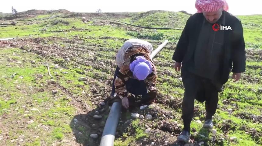 Halep'te bir annenin çaresizliği! Oğlunun cansız bedeninin parçalarını eliyle topladı