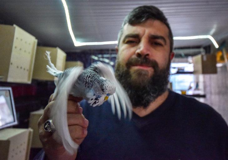 200 muhabbet kuşuyla aynı evde yaşıyor G4