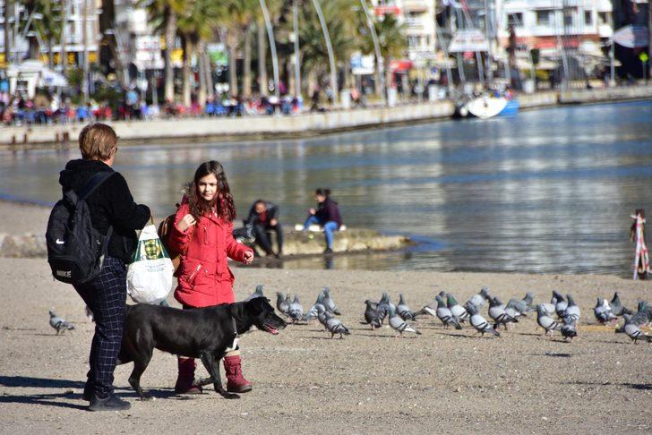 Marmaris'te Ocak ayında yazdan kalma günler G4
