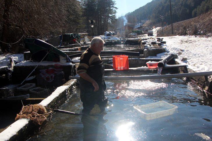 Bolu'da şaşırtan olay! Su samuru zannetti gerçek çok farklı çıktı G4
