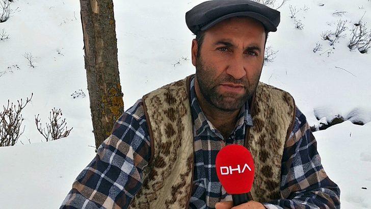 Ordu'daki 300 yıllık ladin şaşırtıyor! Gövdesinden 17 ağaç yetişti G4