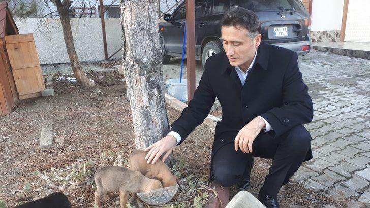 Ölmek üzere bulduğu köpekleri sahiplenen kaymakam gönülleri fethetti G1