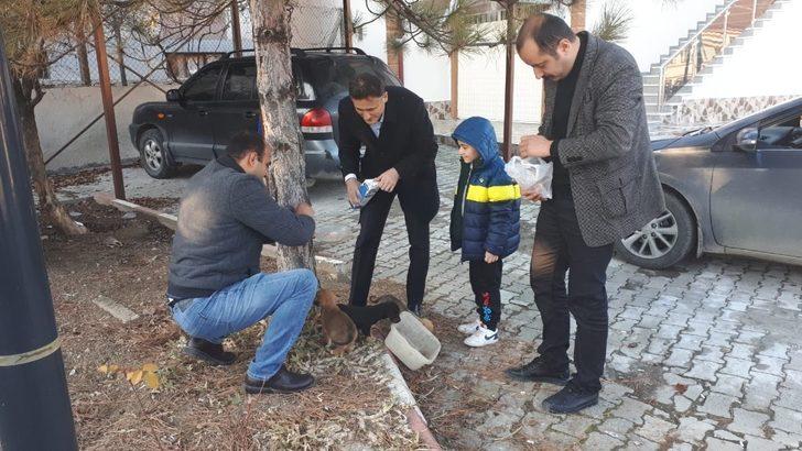 Ölmek üzere bulduğu köpekleri sahiplenen kaymakam gönülleri fethetti G2
