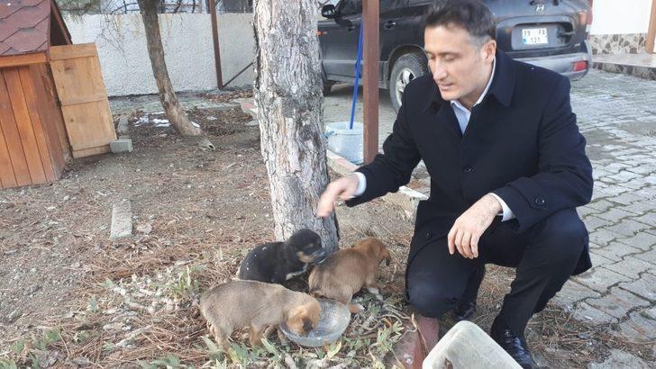 Ölmek üzere bulduğu köpekleri sahiplenen kaymakam gönülleri fethetti G3