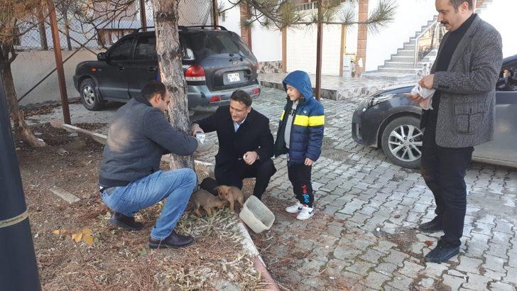 Ölmek üzere bulduğu köpekleri sahiplenen kaymakam gönülleri fethetti G4