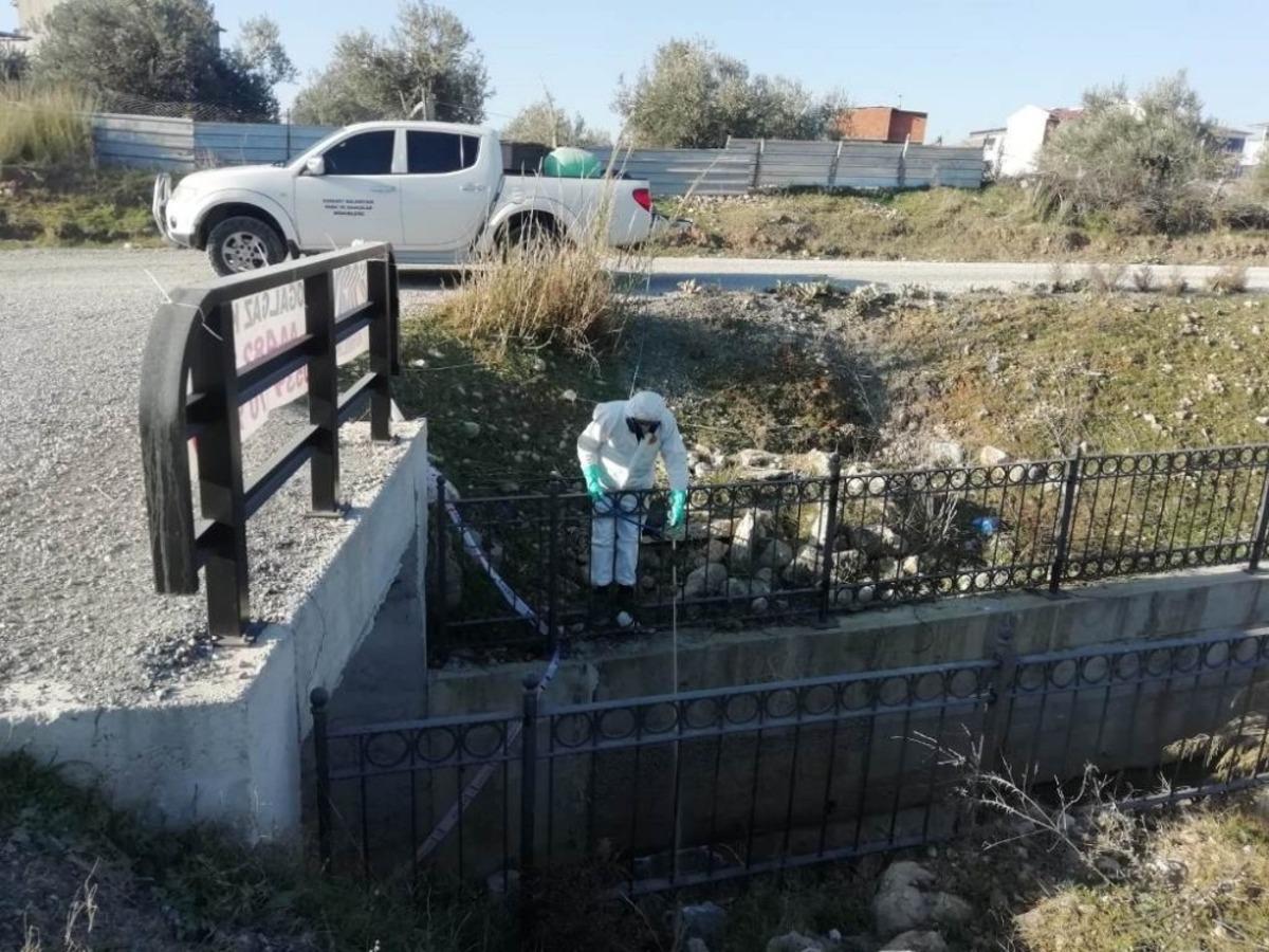 Edremit Belediyesi sinekle m&uuml;cadeleye başladı