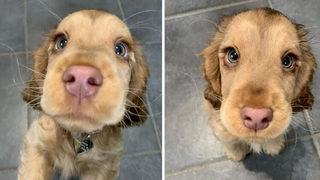 Dünya bu 'tatlılığı' konuşuyor! 