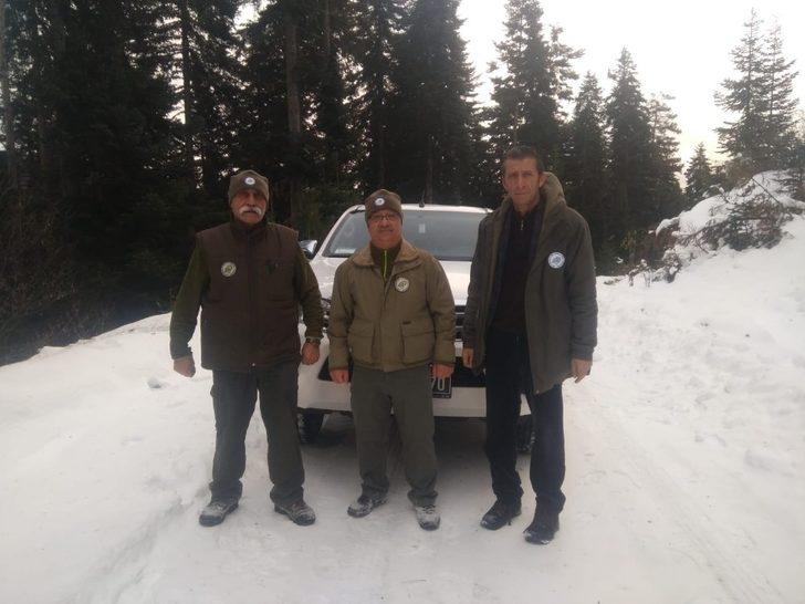 Karda aç kalan yaban hayvanları için ormana yem bırakıldı G3