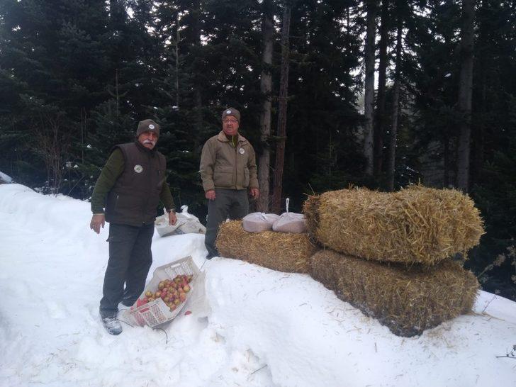 Karda aç kalan yaban hayvanları için ormana yem bırakıldı G4