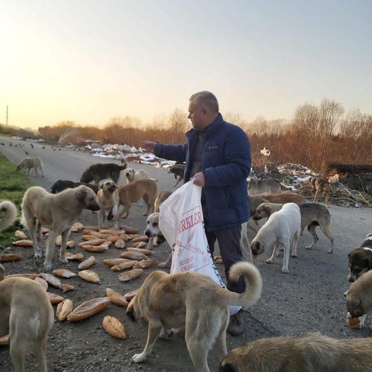 Esnaf Odası’ndan sokaktaki dostlarımıza destek G2