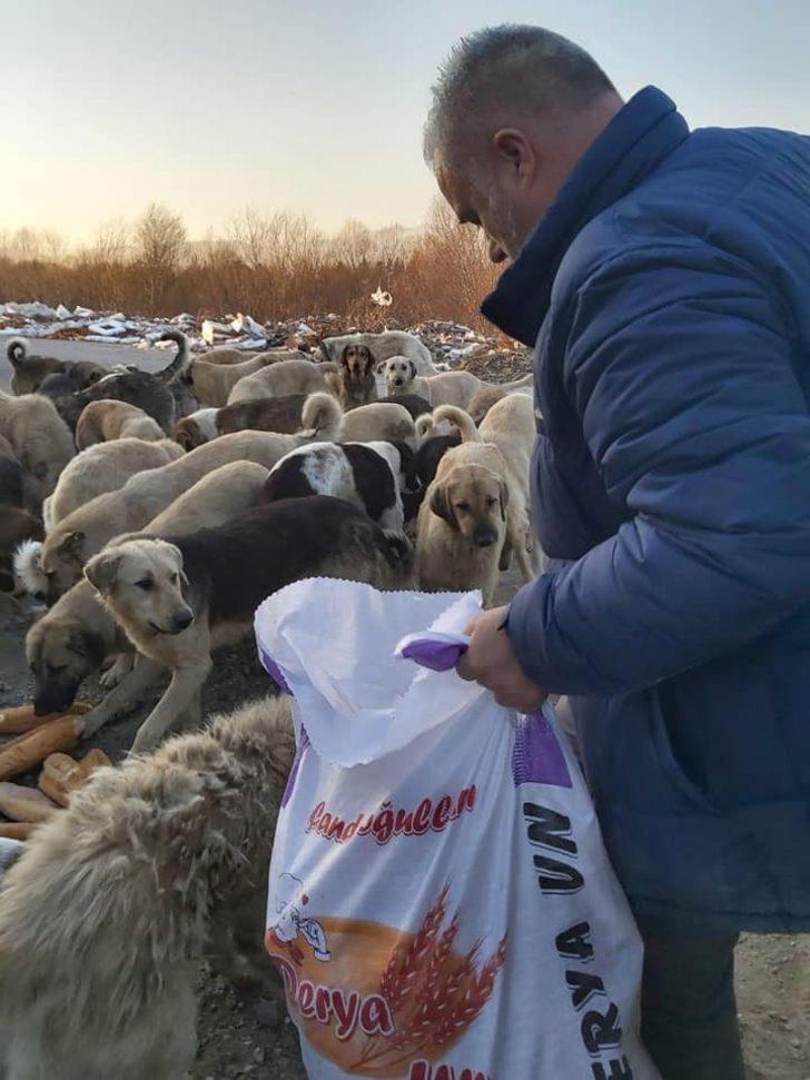 Esnaf Odası’ndan sokaktaki dostlarımıza destek G3