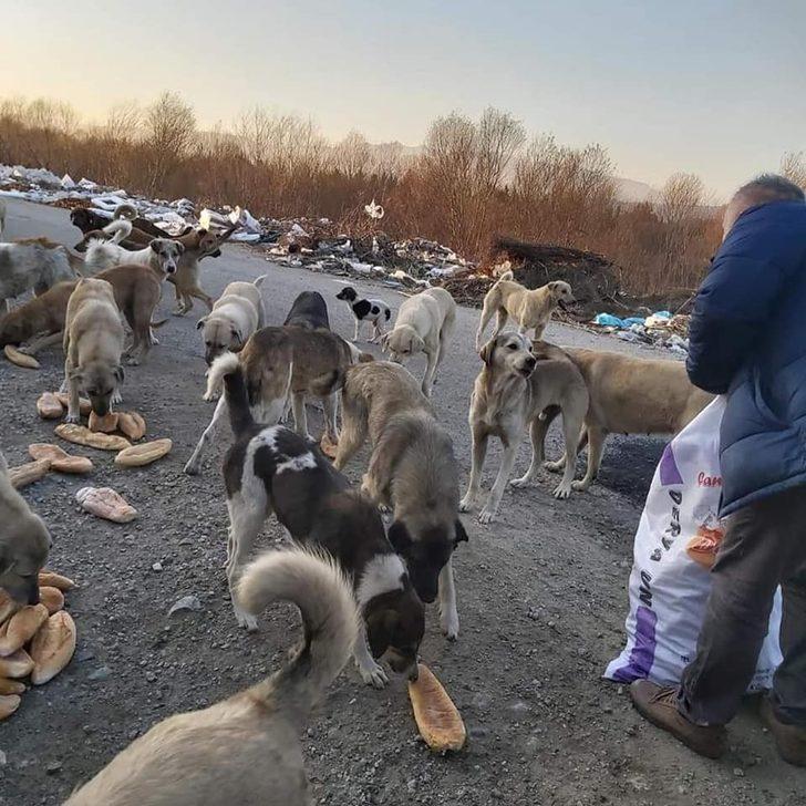 Esnaf Odası’ndan sokaktaki dostlarımıza destek G5