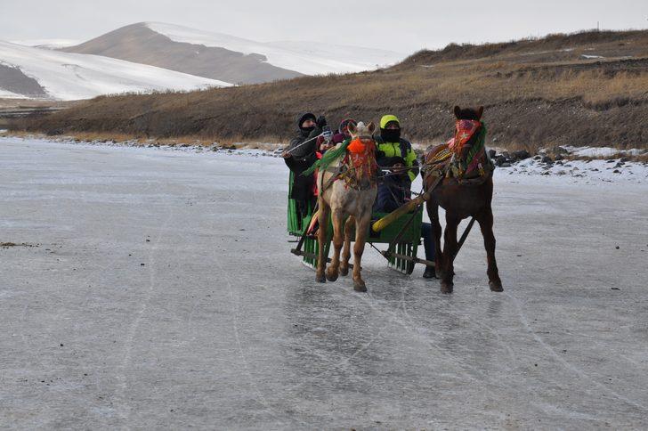 Çıldır Gölü'nde atlı kızak keyfi! G1