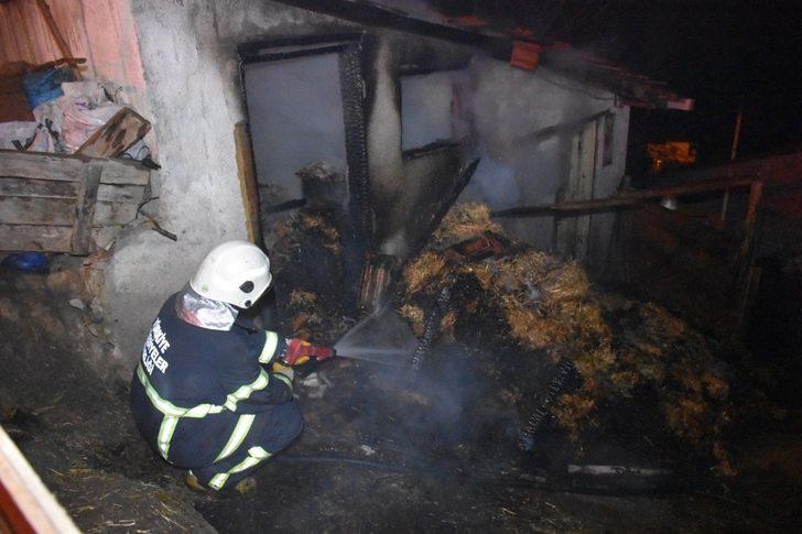 Ahır yandı, kuzular diri diri yanmaktan son anda kurtarıldı G4