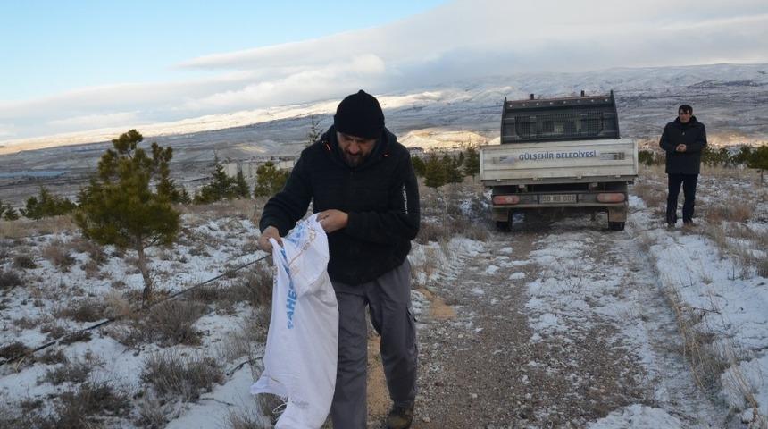 G&uuml;lşehir Belediye ekipleri yaban hayvanları unutmadı