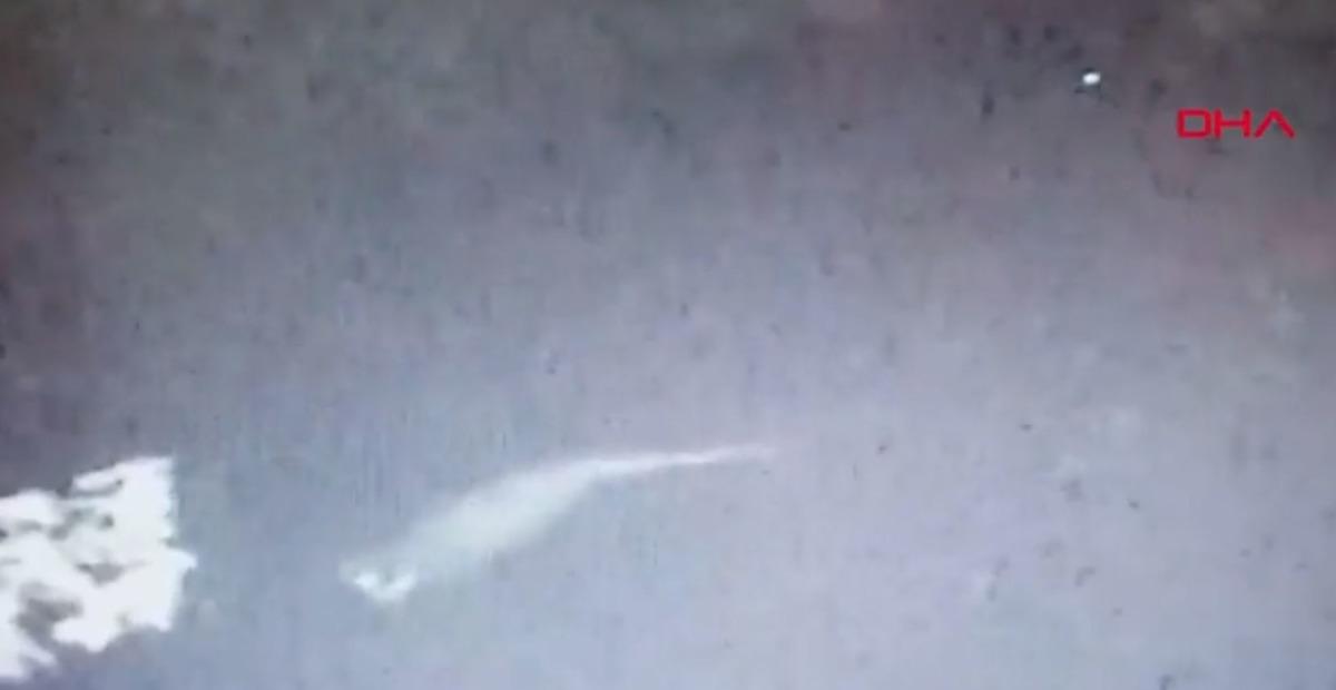 Bolu'da şaşırtan olay! Su samuru zannetti ger&ccedil;ek &ccedil;ok farklı &ccedil;ıktı