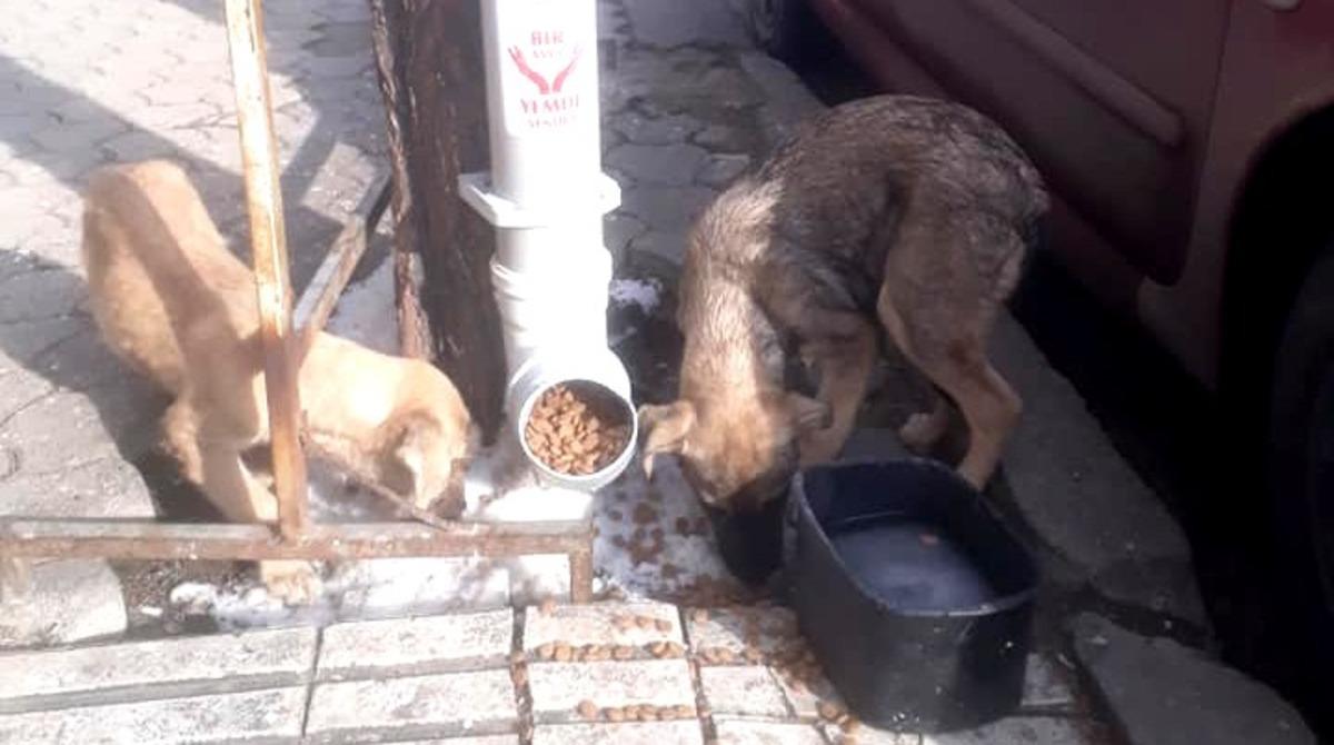 Sungurlu&rsquo;da &rsquo;Bir avu&ccedil; yem de senden olsun&rsquo; projesi