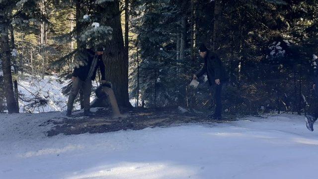 Bartın'da yaban hayvanları için doğaya yem bırakıldı