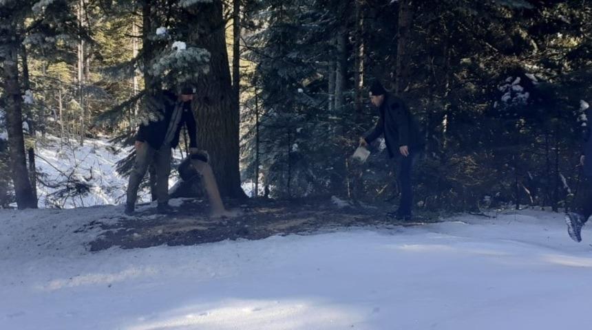 Bartın'da yaban hayvanları i&ccedil;in doğaya yem bırakıldı