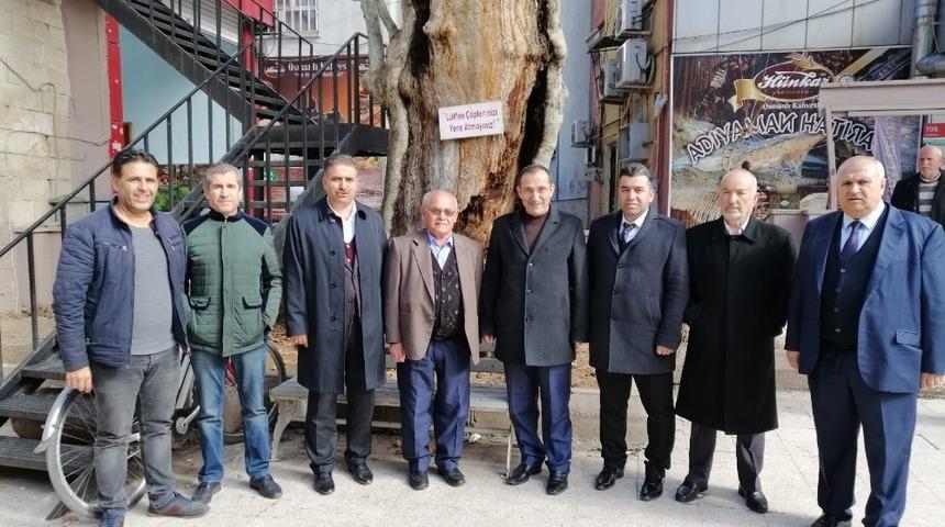 Milletvekili Fırat 400 yıllık anıt ağacı inceledi