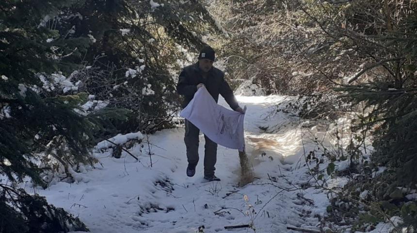 Yaban hayvanları i&ccedil;in doğaya yem bırakıldı