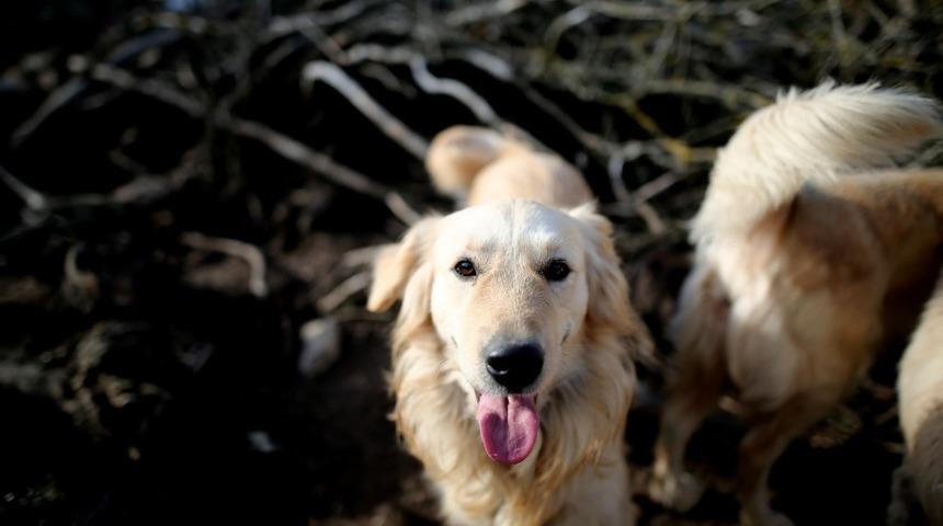 Belediye "kanun var" vatandaşlar ise "&ccedil;ocuğum var" diyor