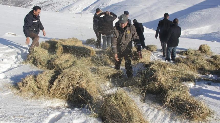 Yaban hayvanları için Emirdağları’na yem bırakıldı