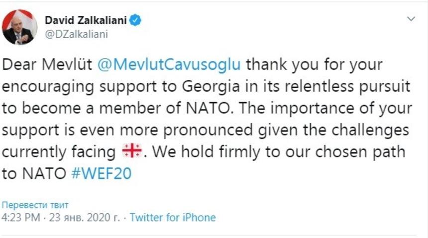 Gürcistan Dışişleri Bakanı, Çavuşoğlu’na teşekkür etti