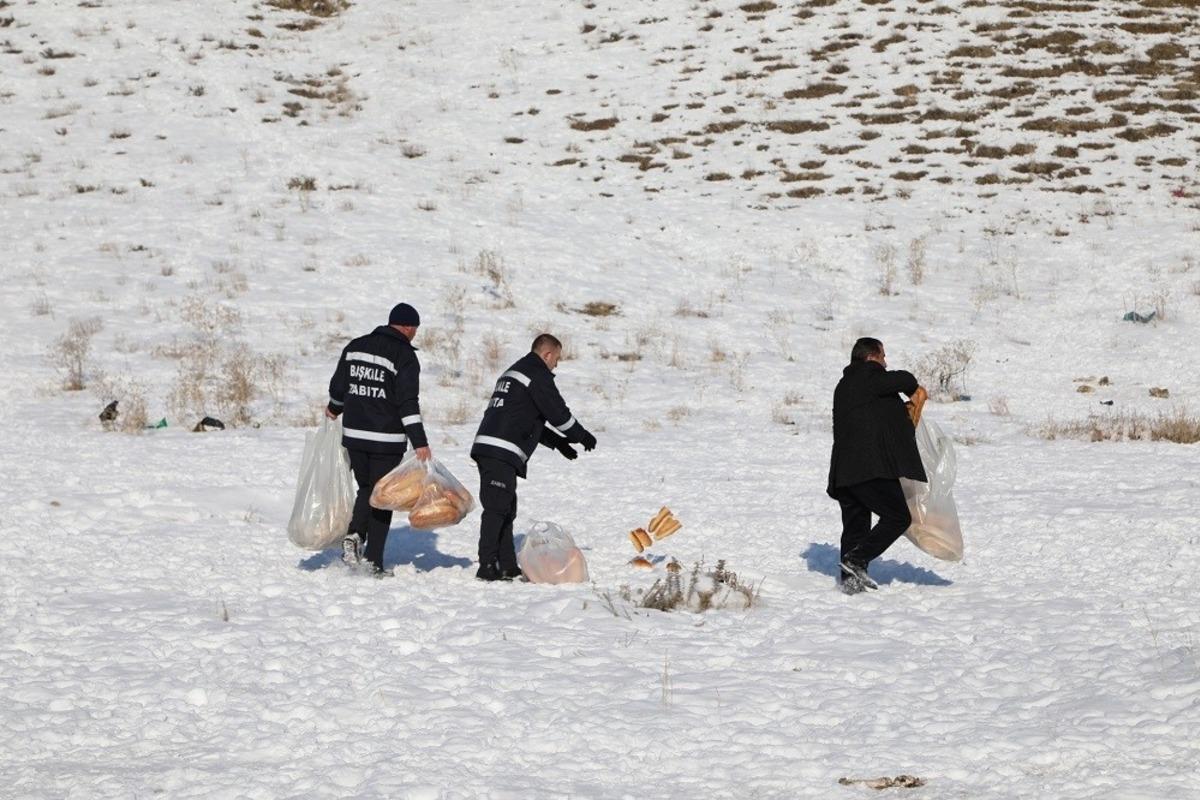 Başkale&rsquo;de sahipsiz sokak hayvanlarına yem desteği