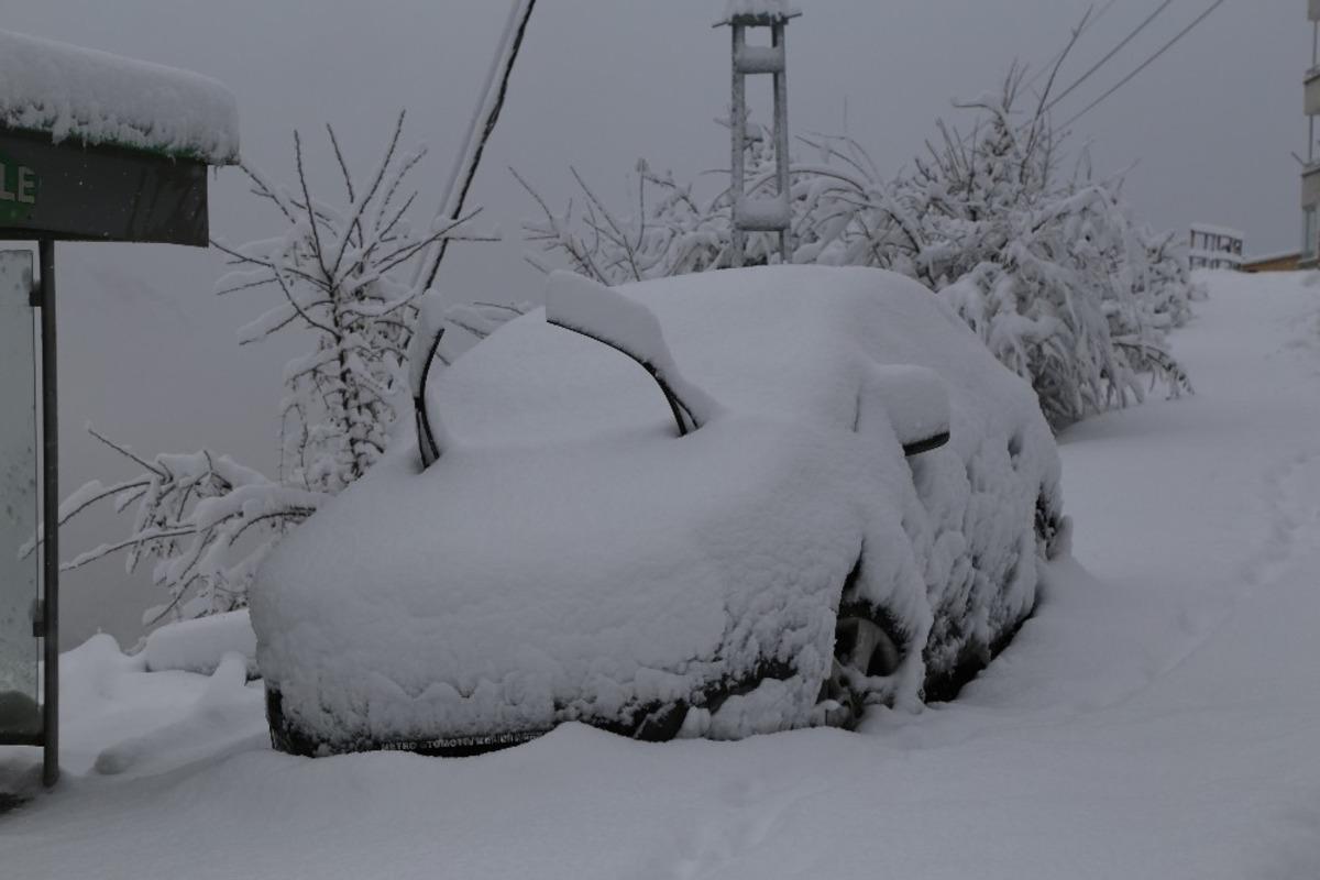 Artvin beyaza b&uuml;r&uuml;nd&uuml;