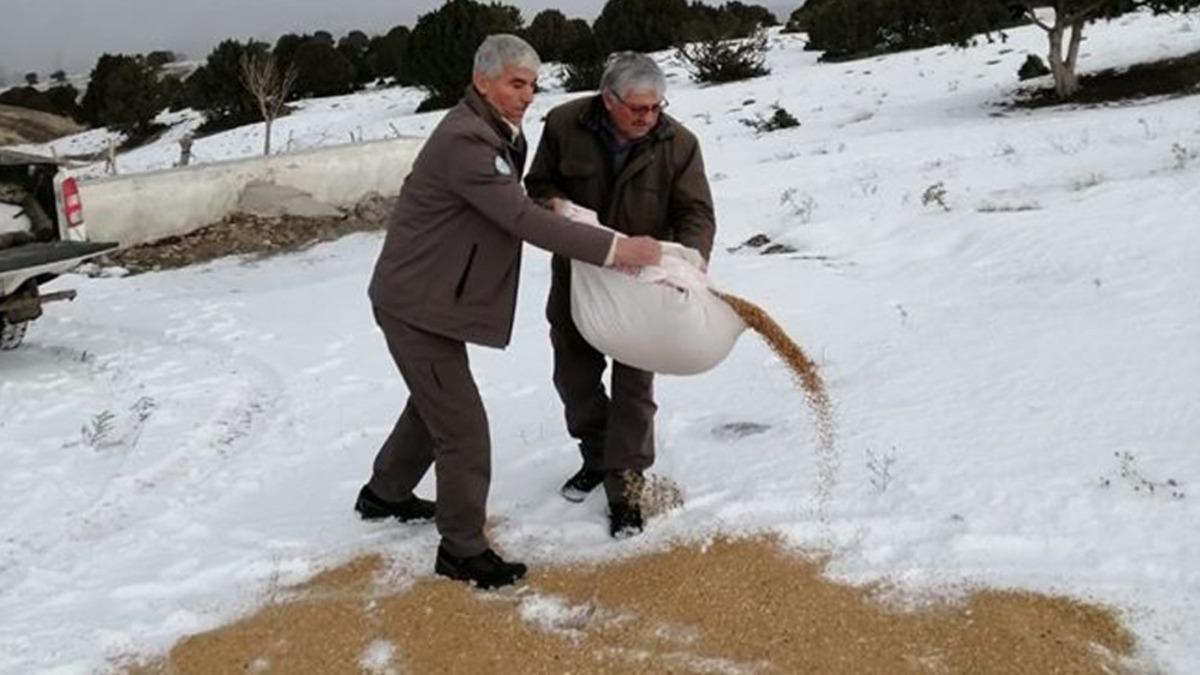 Kırıkkale&rsquo;de hayvanlar i&ccedil;in doğaya yem bırakıldı