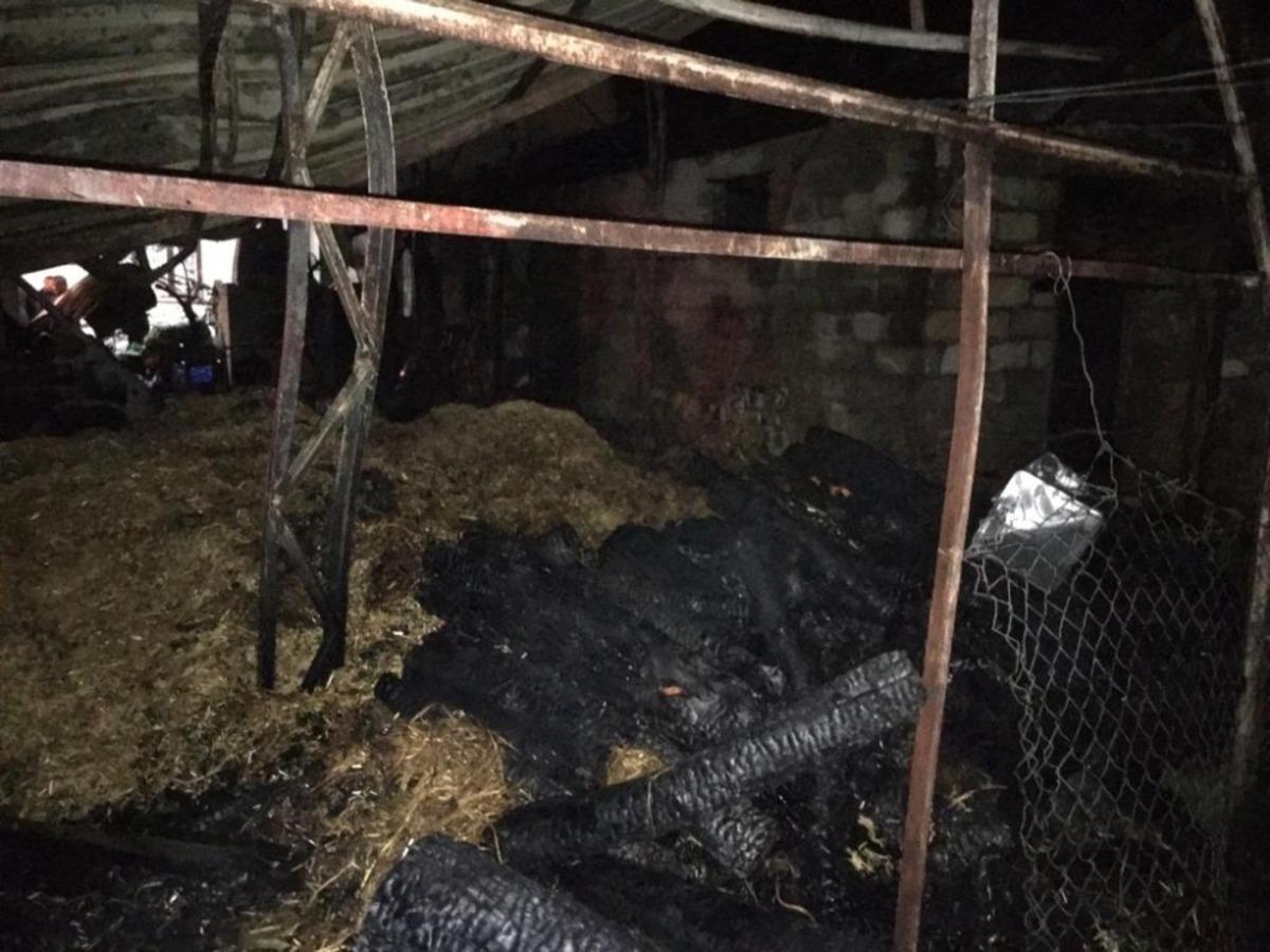 Fethiye&rsquo;de &ccedil;ıkan yangında ahır ve samanlık kullanılmaz hale geldi