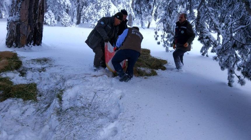 K&uuml;tahya&rsquo;da yaban hayvanları i&ccedil;in doğaya yem bırakıldı