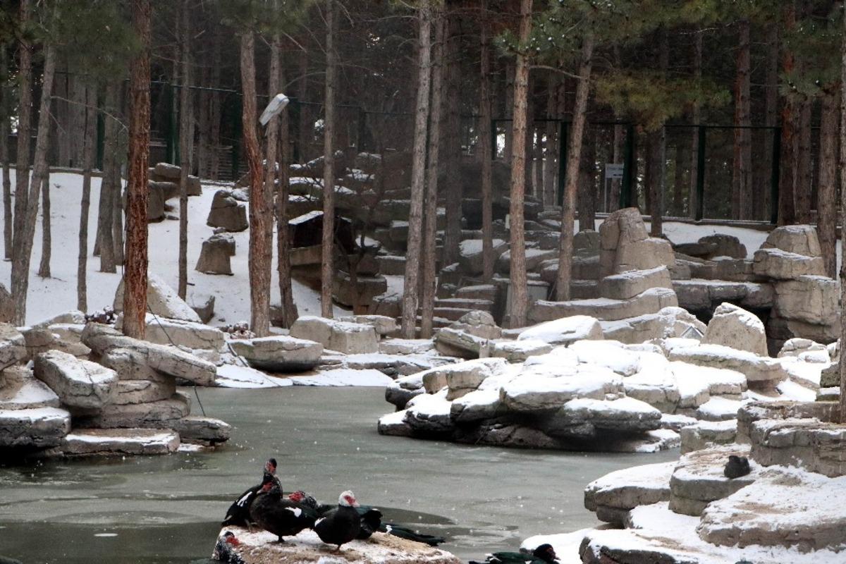 Kayseri&rsquo;de soğuk hava g&ouml;l&uuml; dondurdu