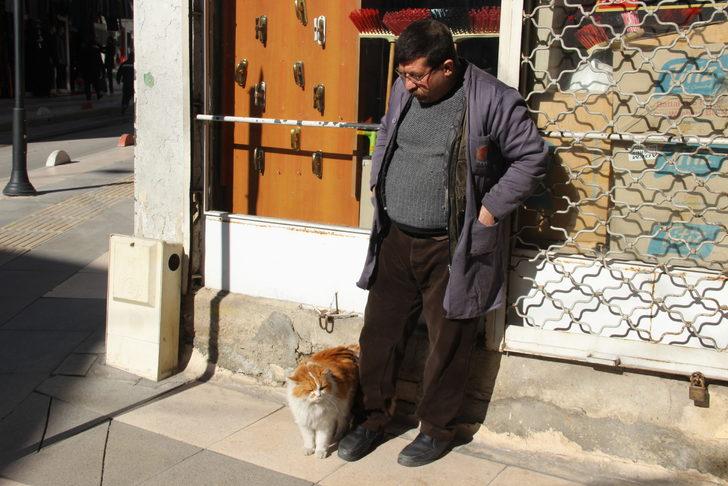 Elazığ'da kedi 'Şerafettin' esnafın maskotu oldu G1