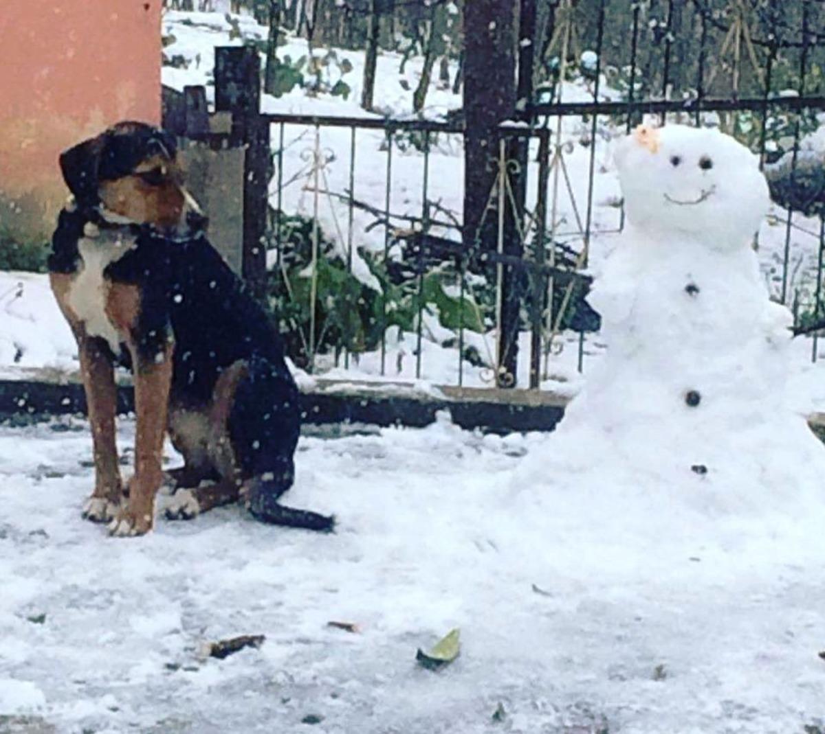 Kar en &ccedil;ok &ccedil;ocukları sevindirdi