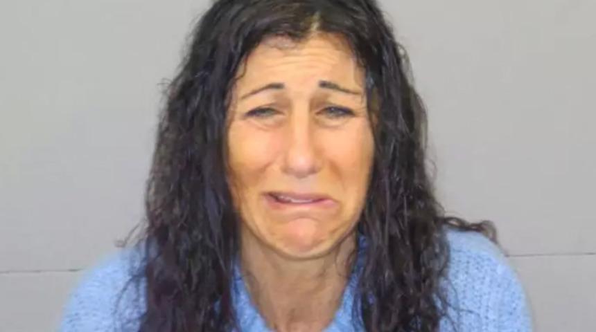 Polis, park yerine en az 8 kez dışkısını yapan kadını gözaltına aldı!