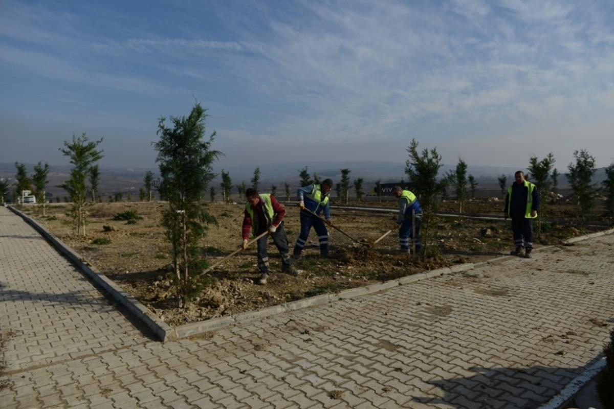 İneg&ouml;l kent mezarlığı yeşilleniyor