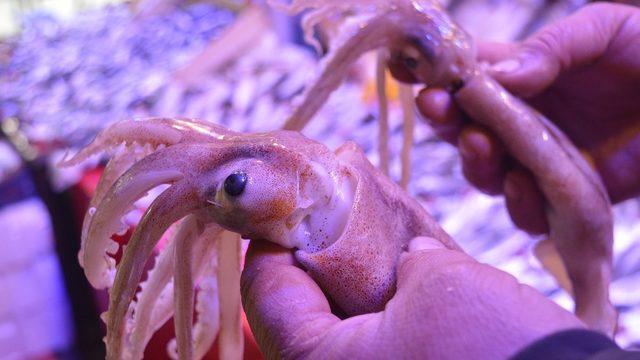 Bu deniz ürününü sadece bilenler alıyor