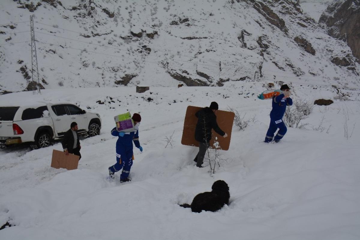 Yaralı k&ouml;peğin yavrularını s&uuml;tle beslediler