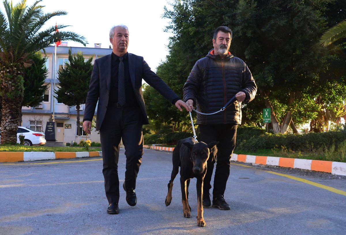 Bakan Pakdemirli'nin sahip &ccedil;ıktığı 'Bobo', artık g&ouml;rebilecek